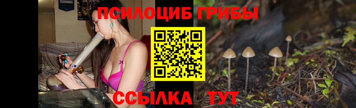 где продают наркотики  Псилоцибиновые грибы Psilocybine cubensis  Нижнекамск  Вход с VPN  Галлюциногенные грибы MAGIC MUSHROOMS 