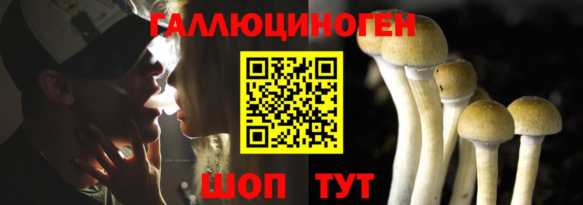 Псилоцибиновые грибы ЛСД Нижнекамск